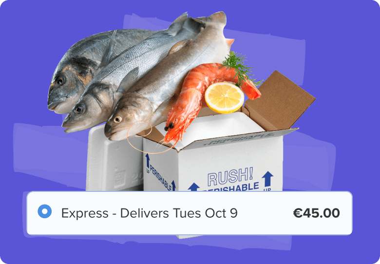 Complex Shipping We Solve