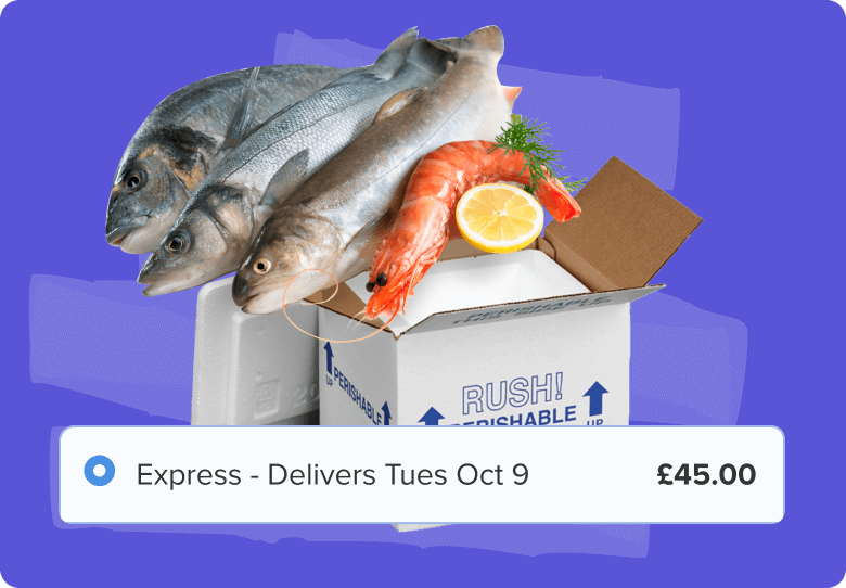 Complex Shipping We Solve