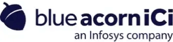 Blue Acorn iCi