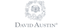 davidaustin
