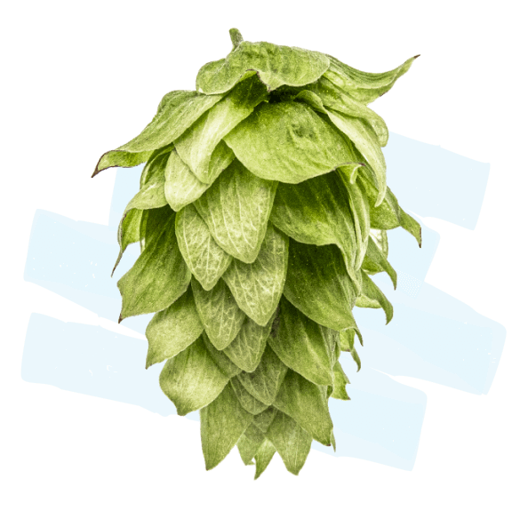 Yakima Chief Hops