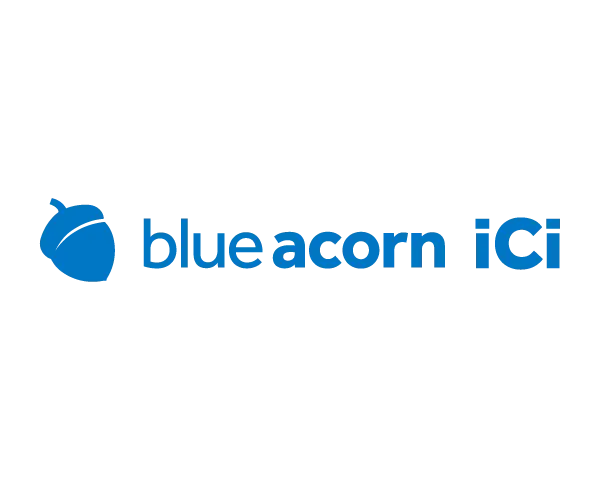 Blue Acorn iCi